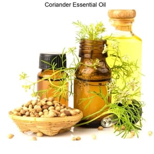 Coriander Essential Oil