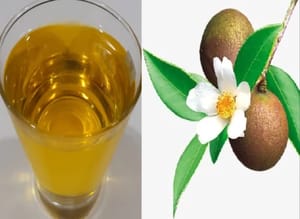 Camellia (Green Tea Seed) Oil