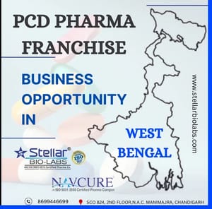 Best Pcd Pharma Company