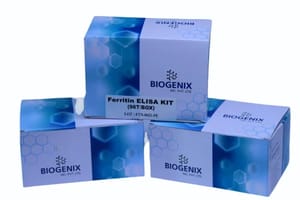 Ferritin Elisa Kit