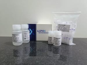 PCR Purification Kit