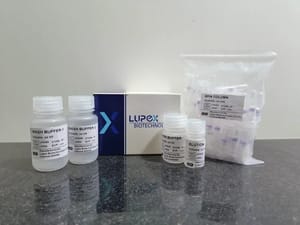 Tissue RNA Isolation Kit (Spin Column Based)