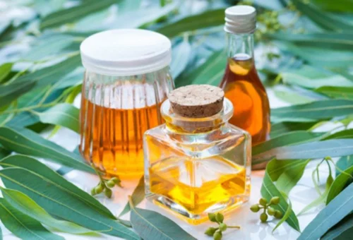 Eucalyptus Essential Oil