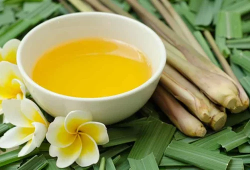 Citronella Essential Oil