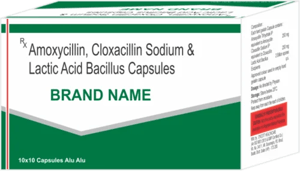 Amoxycillin Cloxacillin Lactic Acid Bacillus Capsules