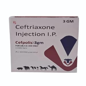 3gm Ceftriaxone Injection IP