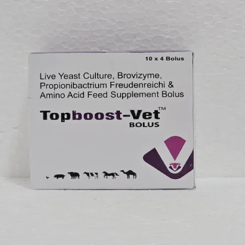 Vet Immunity Boost Bolus