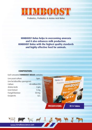 Probiotic Bolus Himboost