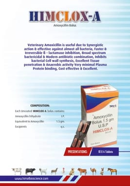 Amoxycillin Bolus Himclox A