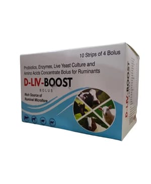 Liver ,Probiotics Bolus Appitite Stimulate & Digestive Bolus(D-Liv- Boost Bouls)