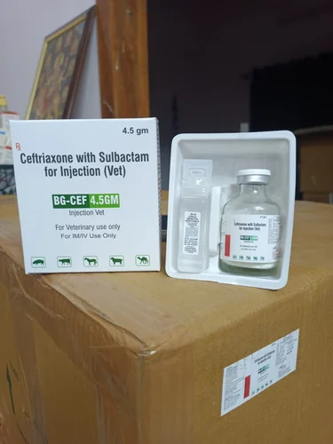 Ceftriaxone Sulbactam Veterinary Injection