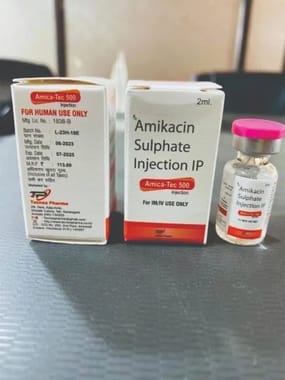 Amikacin sulphate 500mg injection