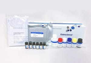 Elabscience Aflatoxin B1 Elisa Kit