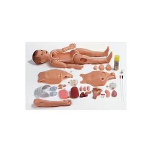 Advanced Multi-functional Child Nursing Manikin Unisex