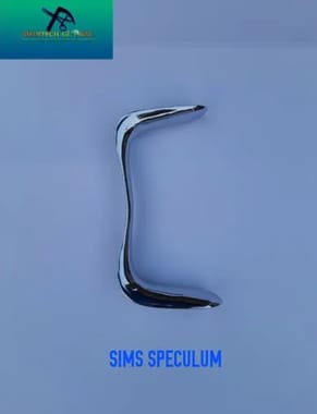 Sims Speculam