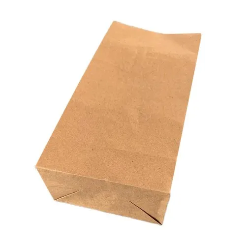 60 GSM Paper Shopping Bag