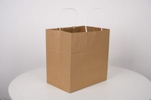 White Handle Paper Bag