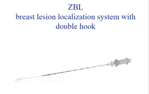 Breast Lesion Localization System With Double Hook