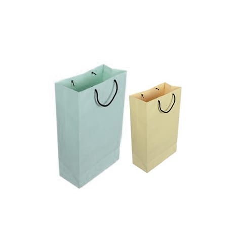 Paper Carry Bags